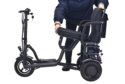 Folding Mobility Electric Scooter 48v 700w Dual Motor Lithium Battery 42 * 22 * 33(Inch) (Black)…