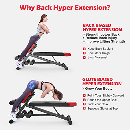 Finer Form Multi-Functional Weight Bench for Full All-in-One Body Workout – Versatile Adjustable Workout Bench for Home Gym. Fitness equipment perfect for Back HyperExtension, Bench Press, Roman Chair Exercise, Sit up. Adjusts to Decline or Flat Benc