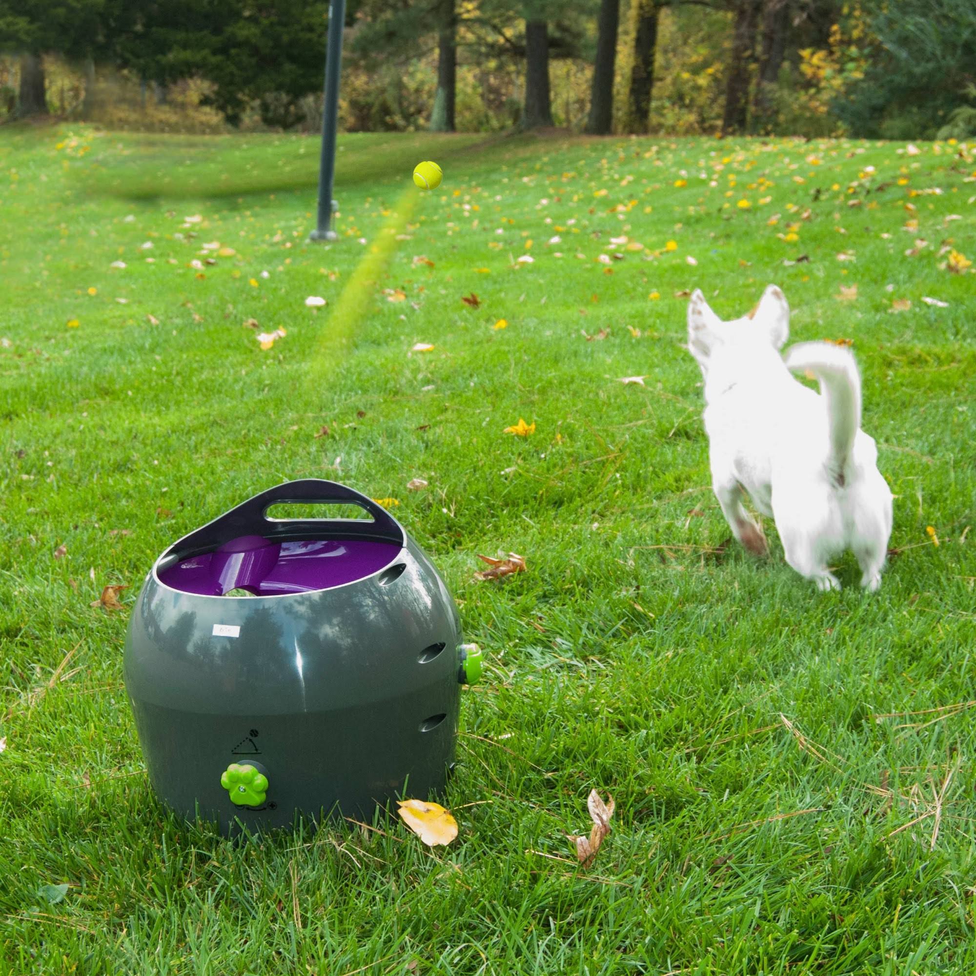 PetSafe - Automatic Ball Launcher