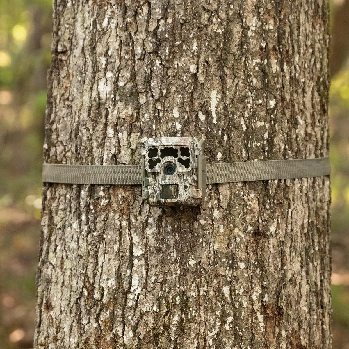 Moultrie Micro-42 Trail Camera Kit Pack of 2