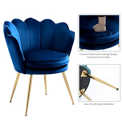 Velvet Accent Chairs Set of 2 for Living Room, Mid Century Modern Arm Chair, Comfy Vanity Chair for Makeup Room, Reception Armchair with Golden Legs for Bedroom, Grey
