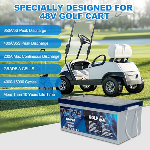 Weize 12V 100Ah TM LiFePO4 Lithium Battery, Built-in Smart BMS, Group 31 Deep Cycle Battery Perfect for Trolling Motor, RV, Solar, Marine, Overland/Van, and Off Grid Applications