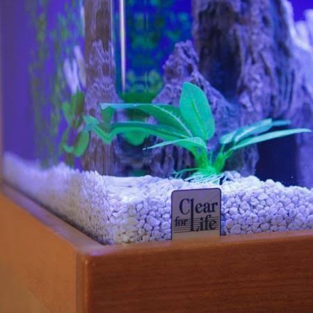 UniQuarium Rectangular Aquarium - 20R-SAPPHIRE BLUE-AAT004-1