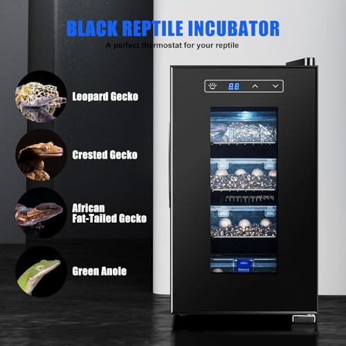 Reptile Egg Incubator 23L Small Digital Lab Incubator Cooling and Heating 10−40°C Precise Temperature Control for Turtle Lizard Gecko Snake Reptiles Hatching with UV-Resistant Glass Door