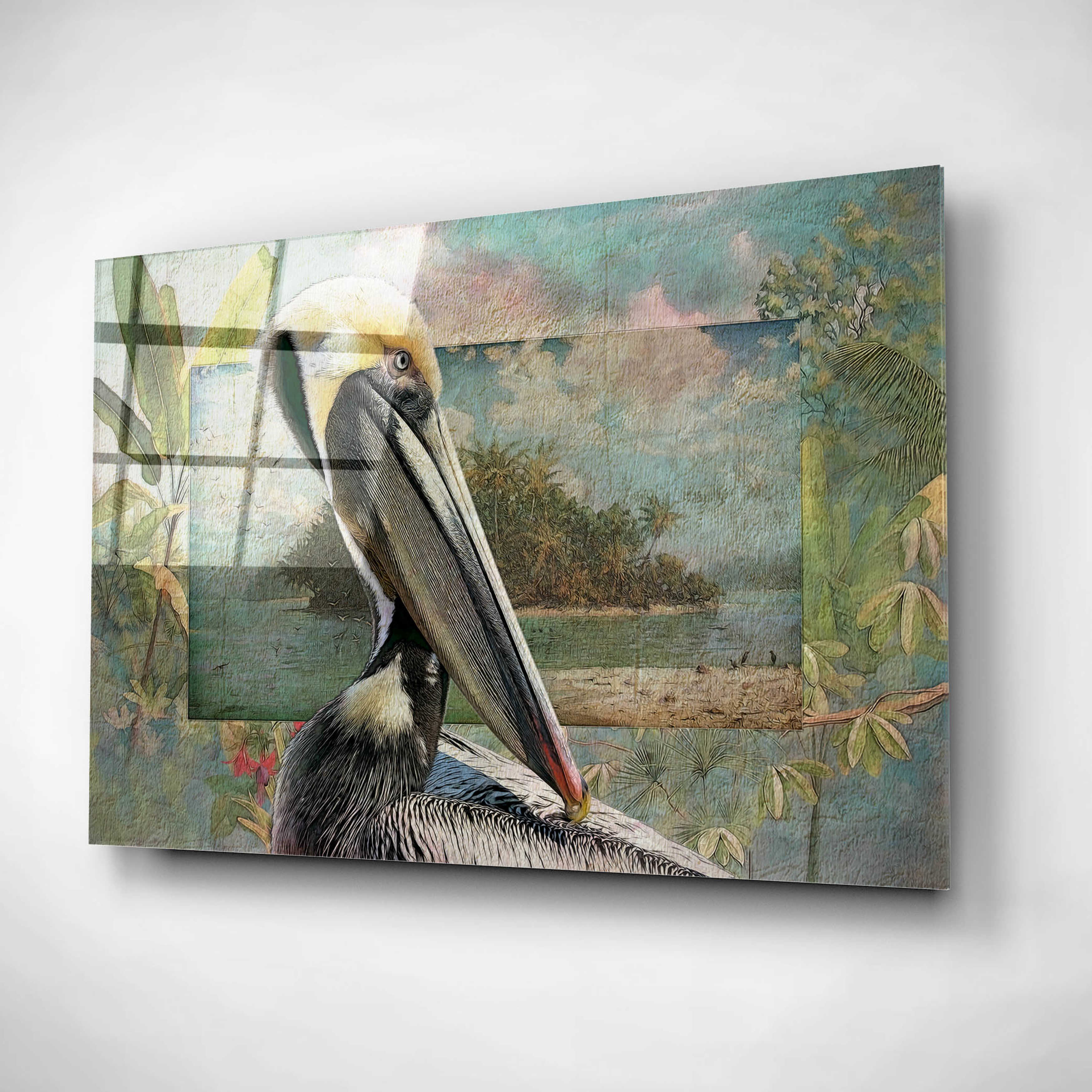 Epic Art 'Pelican Paradise II' by Steve Hunziker, Acrylic Glass Wall Art, 16"x12"