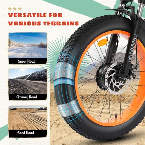 ECOTRIC Electric Tricycle for Adults,Fat Tire 750W 48V 22.4AH Removable Battery, 7 Speeds Adult 3 Wheel Electric Trike with Basket