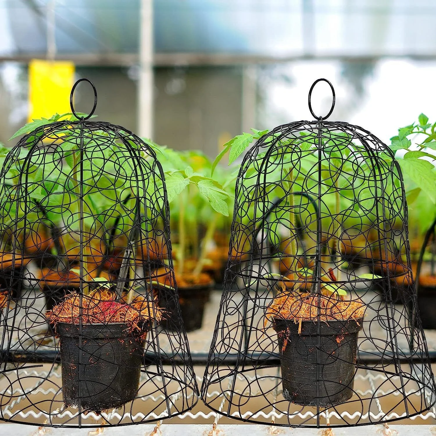 20PCS Garden Chicken Wire Cloche Plant Protector and Cover Iron Black/Green 12.99"H×15.75"