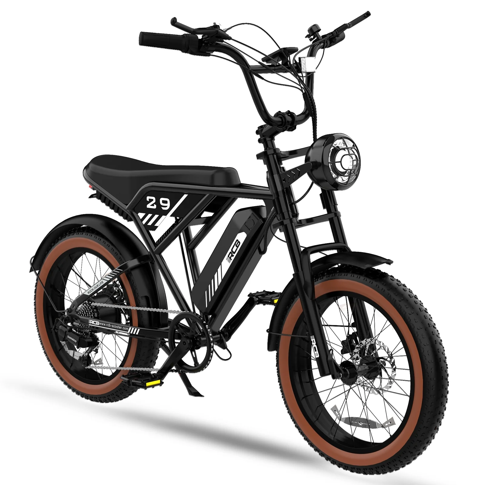 RCB 750W Electric Bike for Adults, 48V 15Ah Removable Li-Ion Battery, 20" 4.0 Fat Tire Electric Mountain Bicycle Beach Bike Snow Bike Ebike for Men&Women,Black