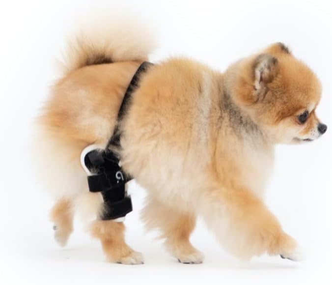 Poveo hinged Dog Knee Brace with Patella Tracker - Neoprene Canine Stifle Support for Dogs with Flexible Support, Torn ACL, Patella Luxation, osteoarthritis, limping from Joint Pain, Hip dysplasia