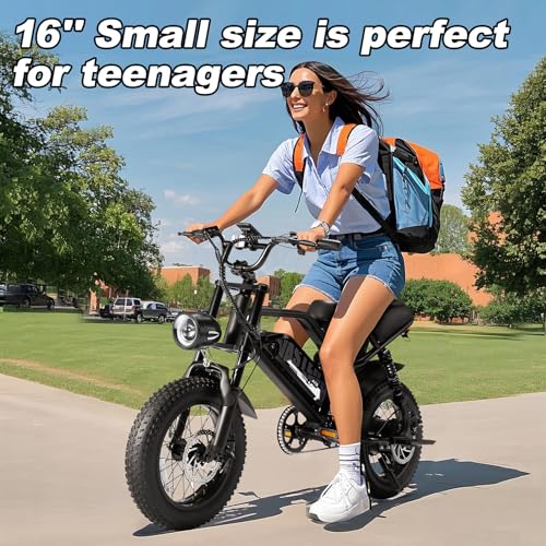 Electric Bike, 16'' Fat Tire E-Bike for Teens/Adults, 500W E-Bike with 36V/12.8Ah Removable Battery, Up to 22MPH, 45 Mile Range, Electric Mountain Bike for Woman/Men