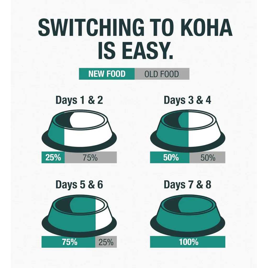 Koha Grain &amp; Potato Free Limited Ingredient Diet Salmon Entree with Pumpkin Canned Dog Food - Pet Supplies online store