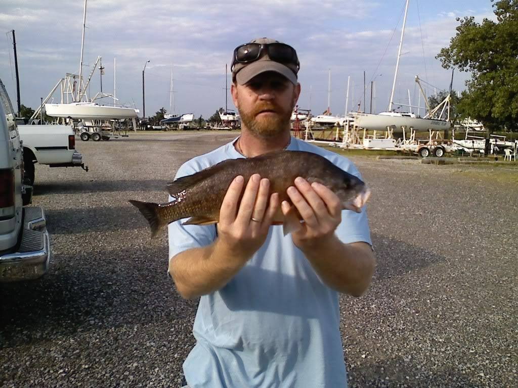 Lowrance Power Cable