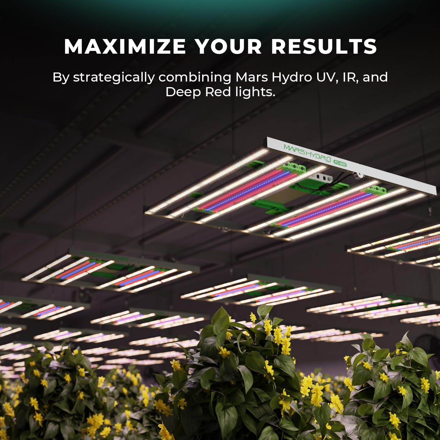 MARS HYDRO 2024 TSW2000 300Watt LED Grow Light 3x3ft with 2024 ADLITE IR15 IR Led Grow Lights Bars