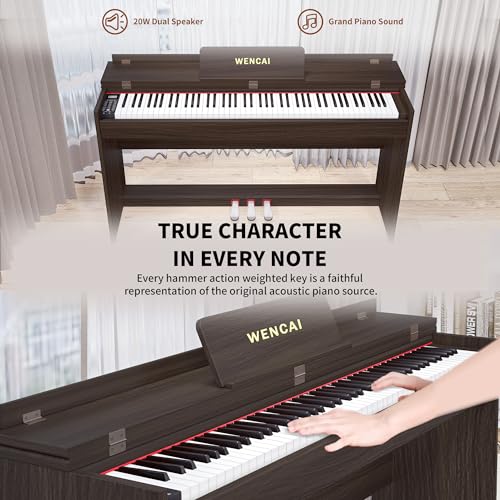 88 Key Fully Weighted Digital Piano Keyboard, 88 Keys Hammer Action Electric Pianos, Wooden Classic Upright Electronic Piano for Beginner, Professional, Midi Compatible, Triple Pedal (Black)