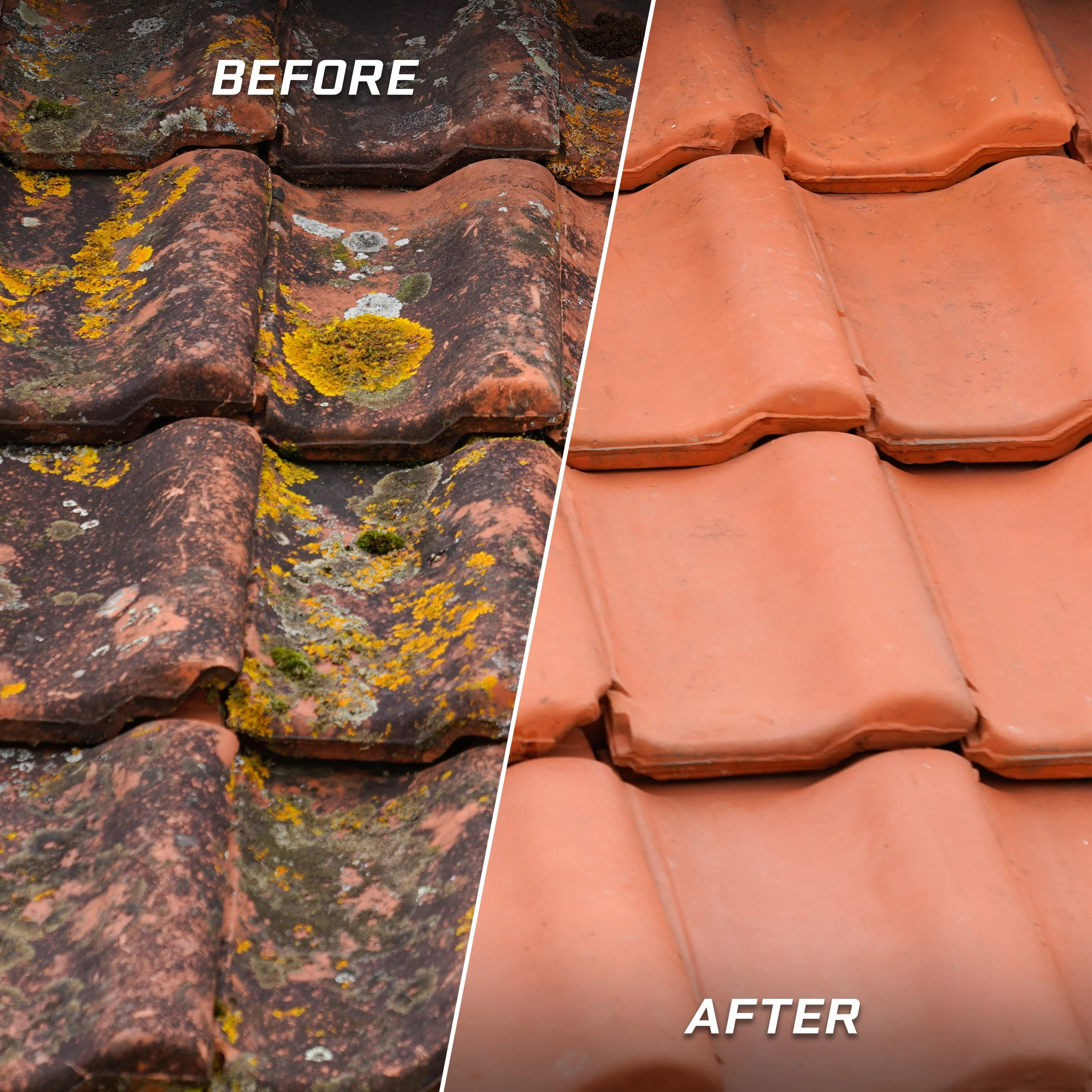 Sun Joe SPX3000 Electric Pressure Washer, 14.5-Amp, Quick-Connect Tips