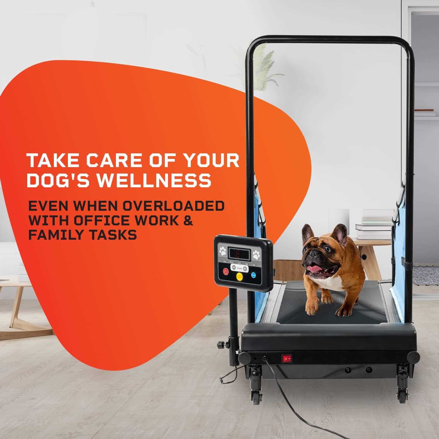 Lifepro Dog Treadmill Small Dogs Dog Treadmill Medium Dogs Dog Pacer Treadmill for Healthy &amp; Fit Pets - Pet Supplies online store