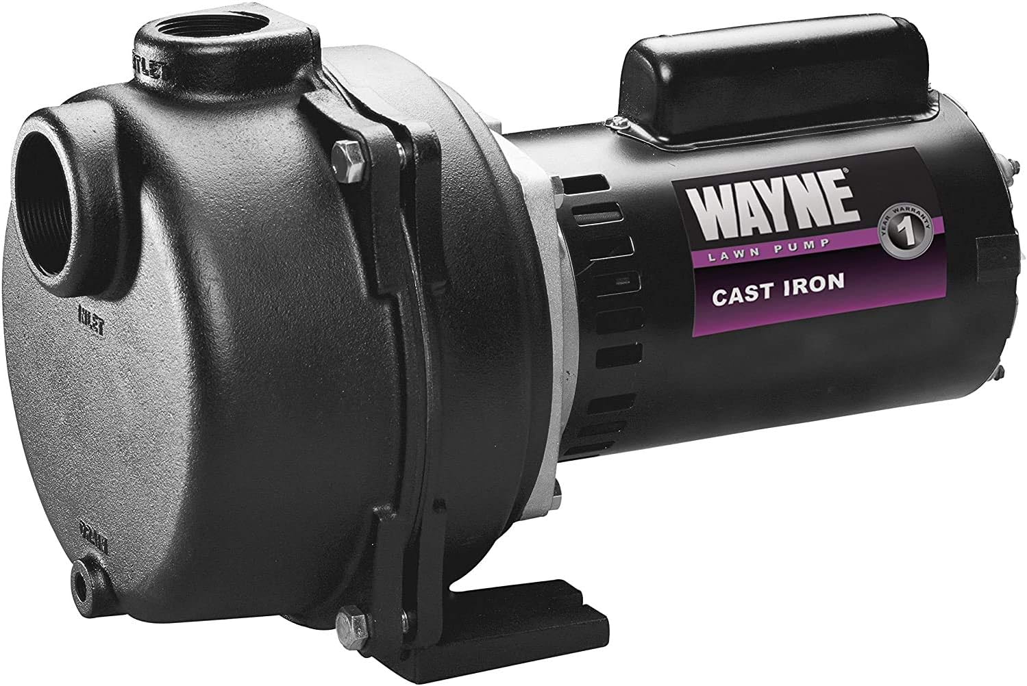 Wayne WLS200 2 HP Cast Iron High Volume Lawn Sprinkling Pump, 2-Horsepower