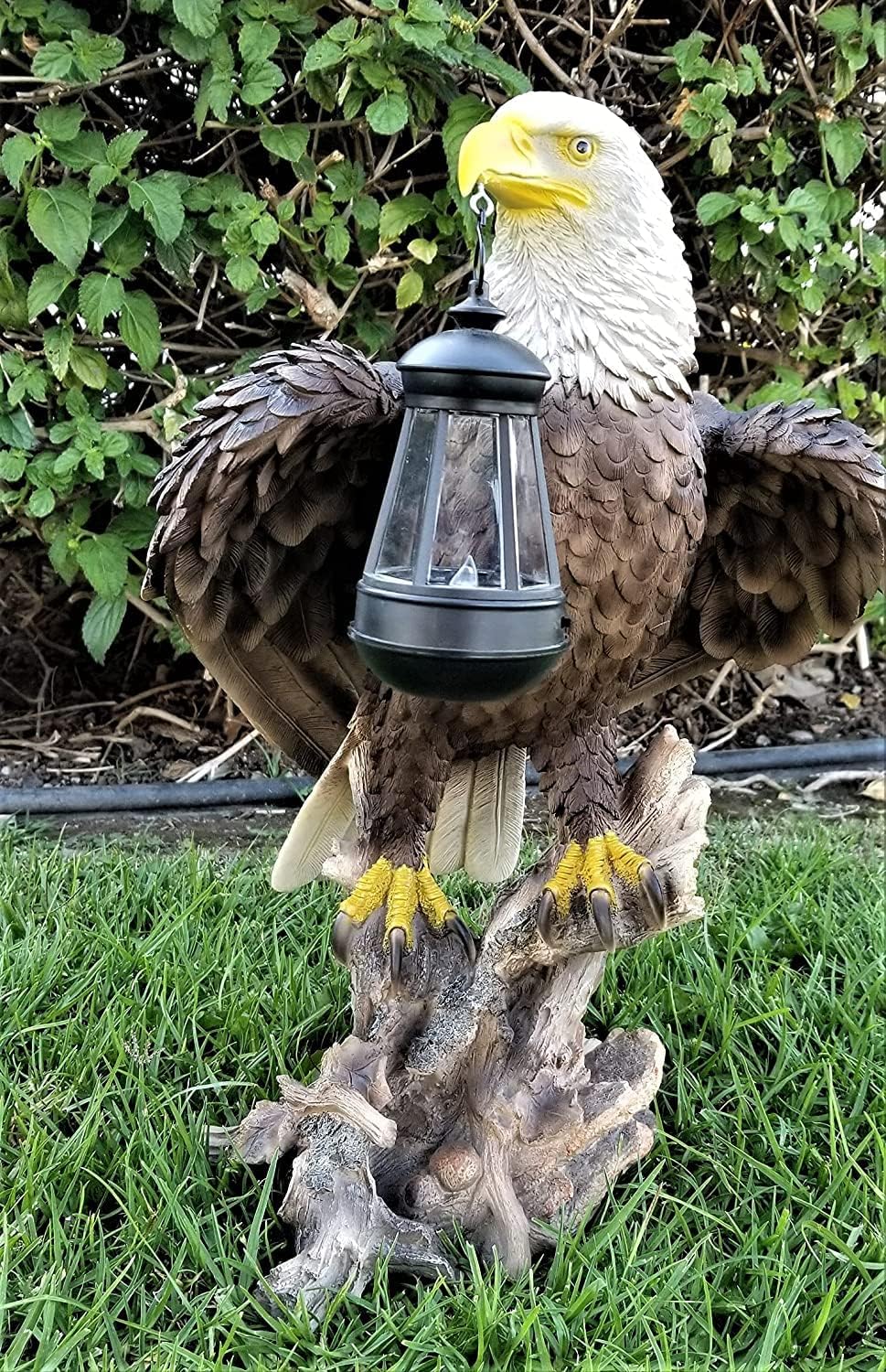 Solar American Bald Eagle Statue with Solar Light-EA