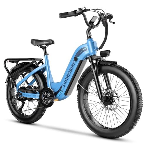 1500W Motor Peak Electric Bike for Adults and Teenagers, 48V 20AH Removable Battery Step Thru EBike, 30+MPH, 80 Miles Max Range, 24" Fat Tire Adult Electric Bicycles for 7 Speed