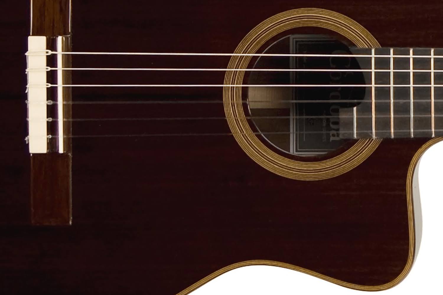 Cordoba Fusion 14 Rose Acoustic-Electric Classical Guitar