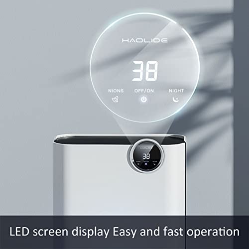 Room Dehumidifiers for Bedroom, Basement Dehumidifier with Drain Hose, Tank Capacity 67 Oz, Dehumidifiers for Home Small Room