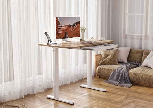 Standing Desk with Drawers, 48 x 24 Inch Adjustable Height Stand Up Desk, Electric Sit Stand Computer Desk for Home Office, Rustic Brown