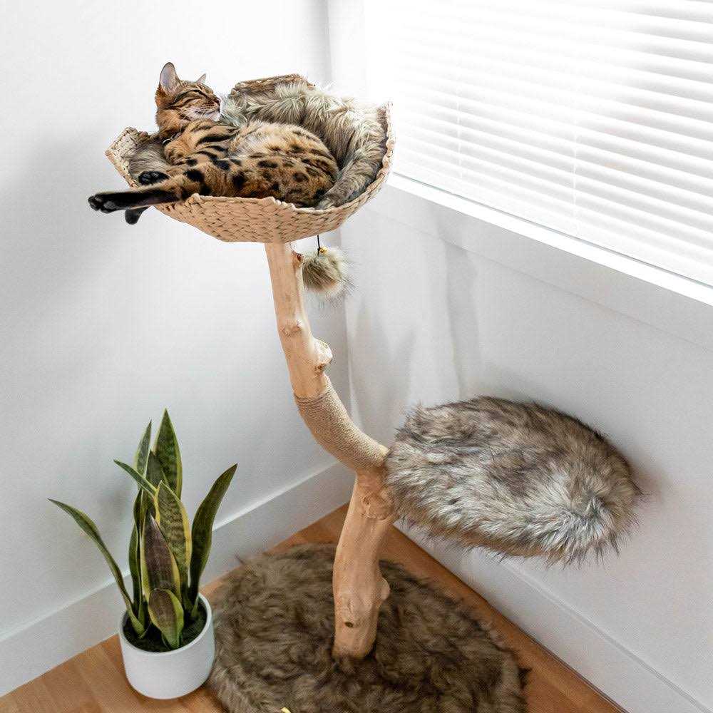 Mau Lifestyle Uni Cat Tree - Pet Supplies online store