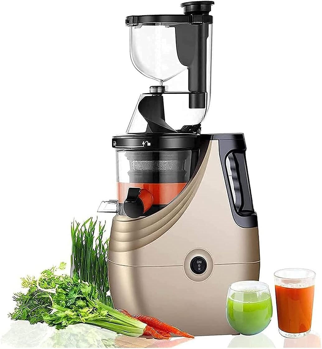Juicer Machine,Slow Juicer Higher Nutrients And Vitamins Cold Press Juicer Machine For Fruit And Vegetable BPA Free Components