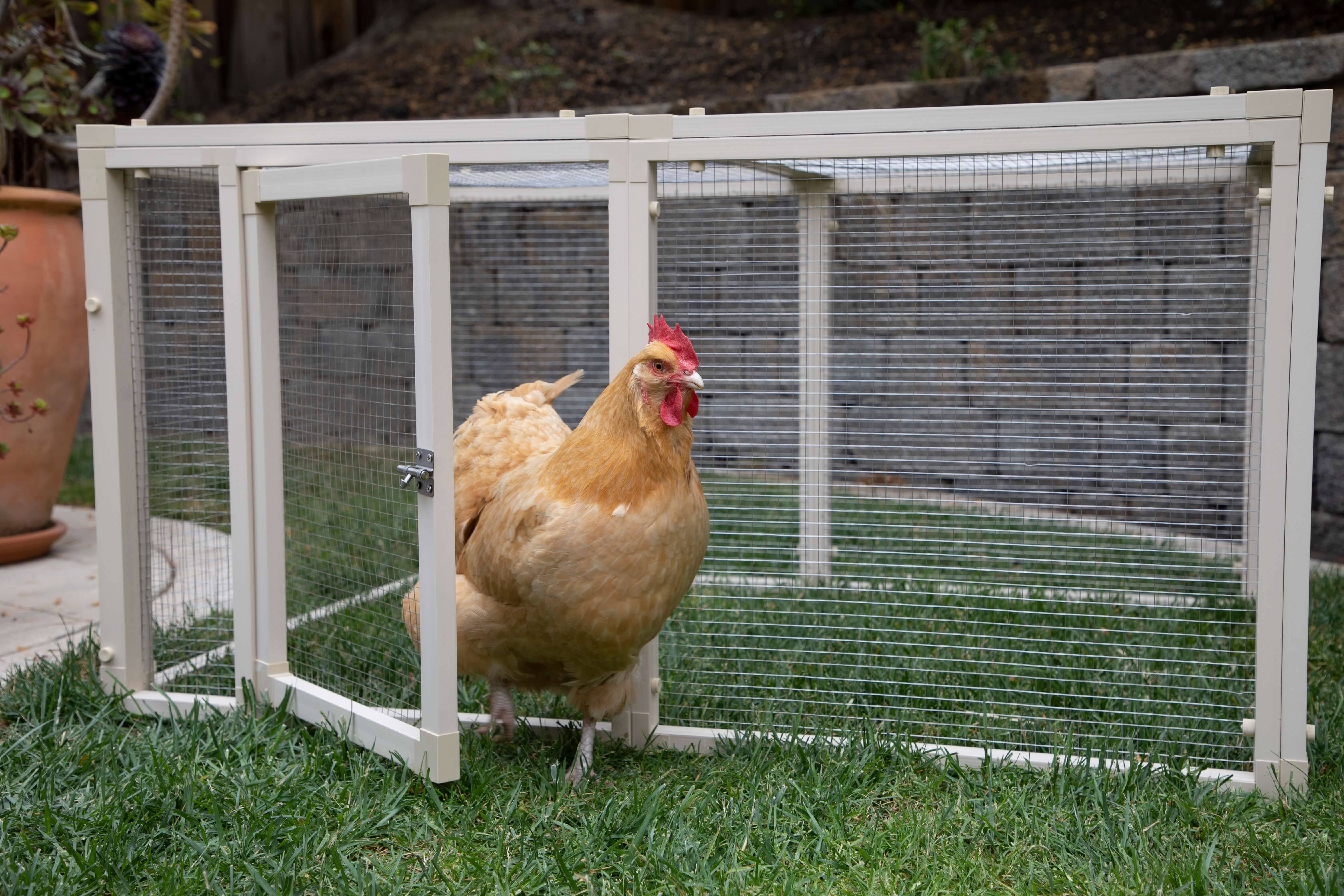 New Age Pet Fontana Chicken Pen