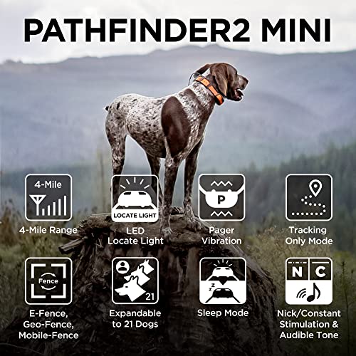 Dogtra Pathfinder 2 GPS Dog Tracker e Collar 9 Mile Long Range LED Light No Monthly fees Free App Waterproof Smartwatch Control Satellite Real Time Tracking Multiple Dogs Smartphone Required