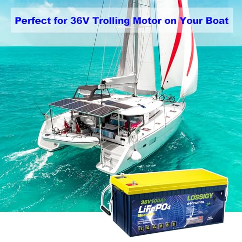 LOSSIGY 12V 300AH LiFePO4 Lithium Battery, Built in BMS with 10 Yrs Lifespan, Perfect for Solar System, RV, Marine