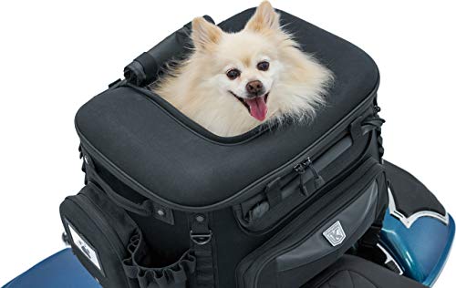 Kuryakyn 5723 Titan Pet Palace: Portable Weather Resistance and Heat Reducing Motorcycle Dog/Cat Carrier Crate for Touring Seat, Black Large