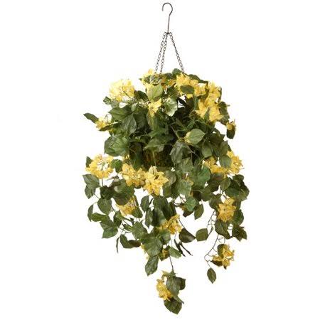 August Grove Hanging Flowering Plant in Basket