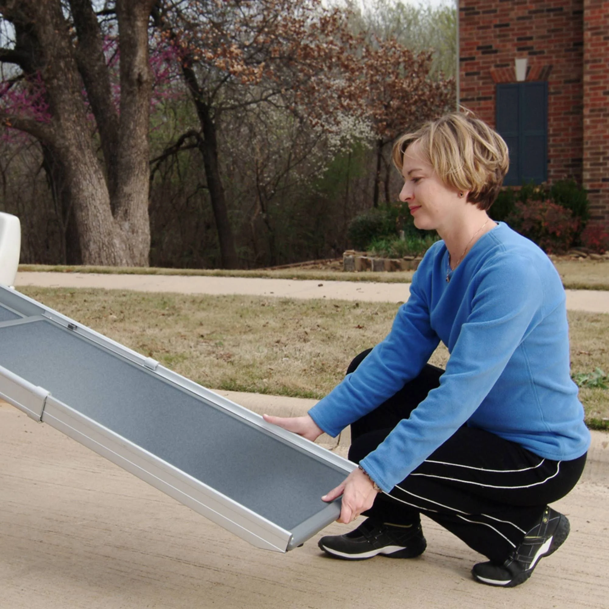 Solvit Deluxe Telescoping Pet Ramp Regular