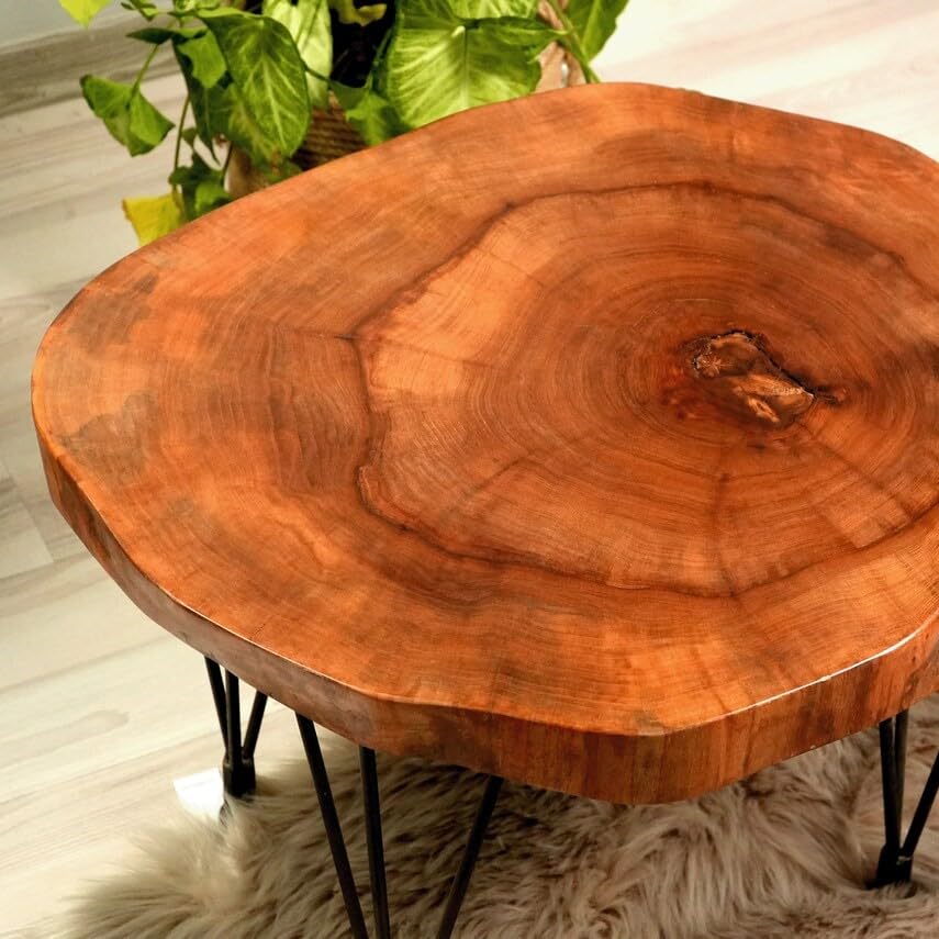 Custom Walnut Live Edge Coffee Table, Solid Wood Table, Round Coffee Table, Wooden Side Table, Rustic Furniture, Unique Mid Century Modern (24" (60 cm))