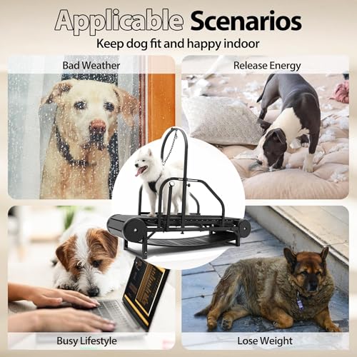 New Dog Treadmill for 2025, Non-Electric Treadmill for Dogs with Step Counter, Adjustable Incline & Brake, Dog Treadmills Suitable for Indoor and Outdoor, Supports Up to 300 lbs