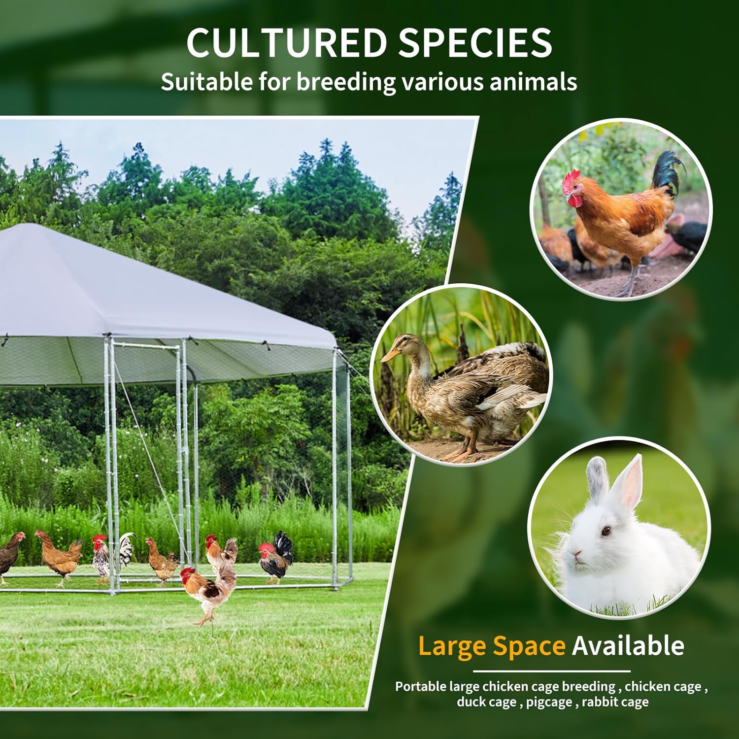 Large Octagon Chicken Coop, Heavy-Duty Chicken Run 17.4' Diameter with Galvanized Steel Frame & Water-Resistant Oxford Tarp, Spacious Multi-Animal Habitat