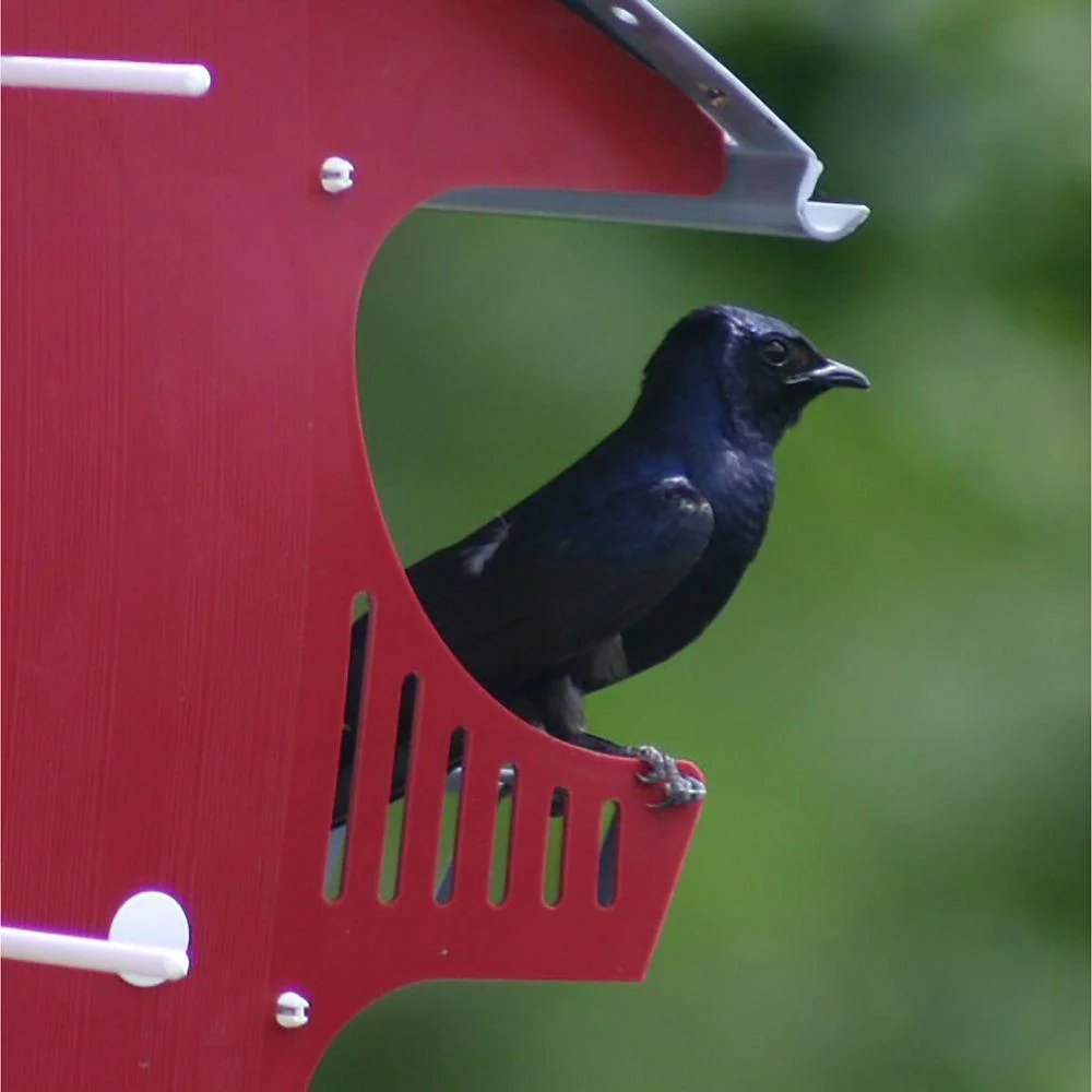 Royal Wing Purple Martin Barn Bird House for 16 Families