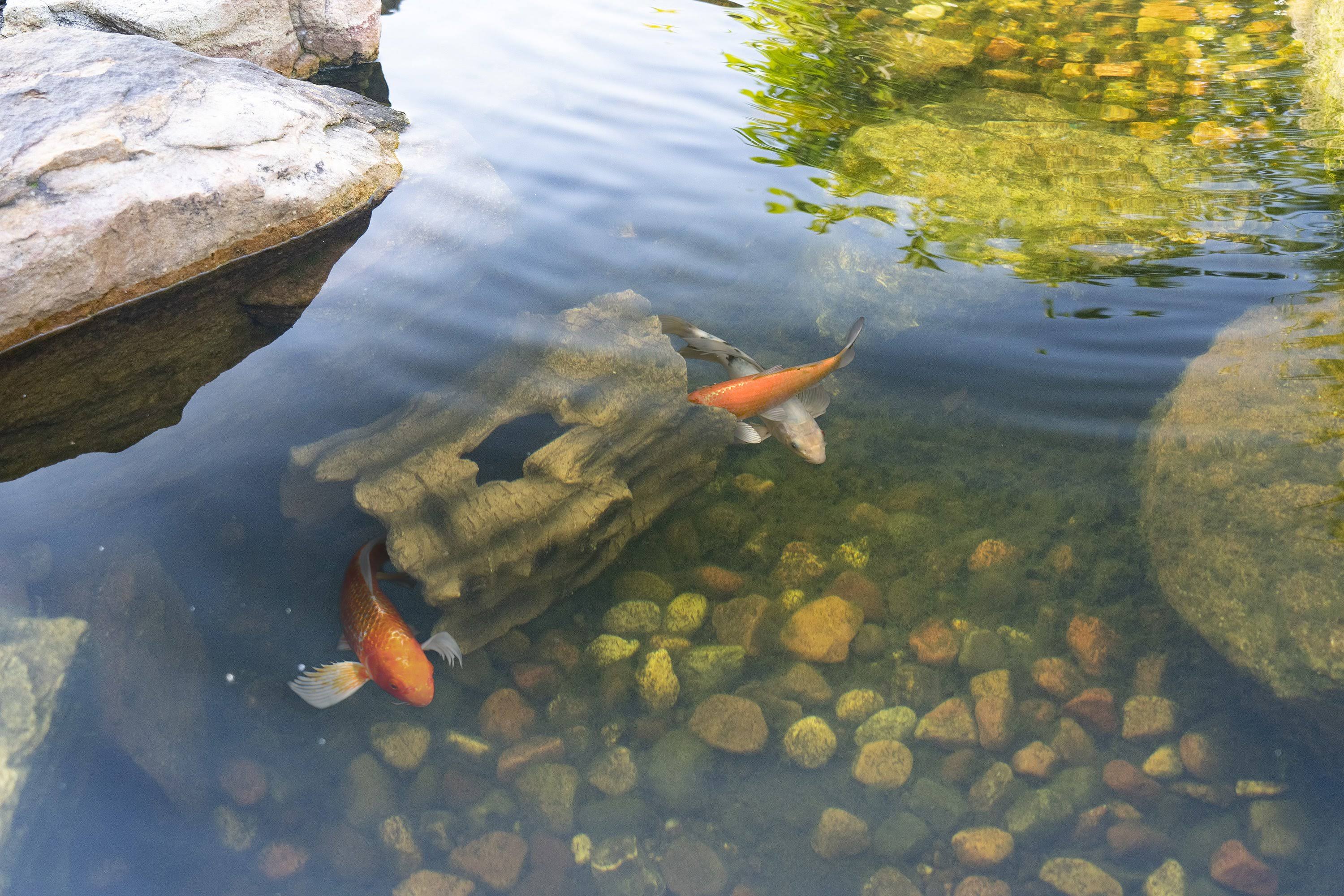 Aquascape 78324 Faux Log Fish Cave