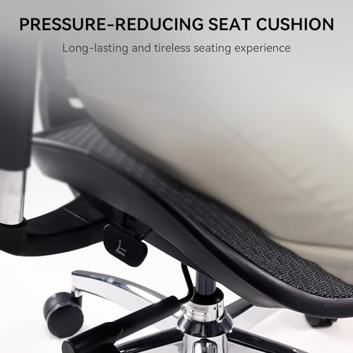 SIHOO Doro S300 Ergonomic Office Chair, Computer Chair, Gaming Chair with Dual Dynamic Lumbar Support, 6D Coordinated Armrests, Adjustable Rolling Chair (White Italian Velvet Mesh)