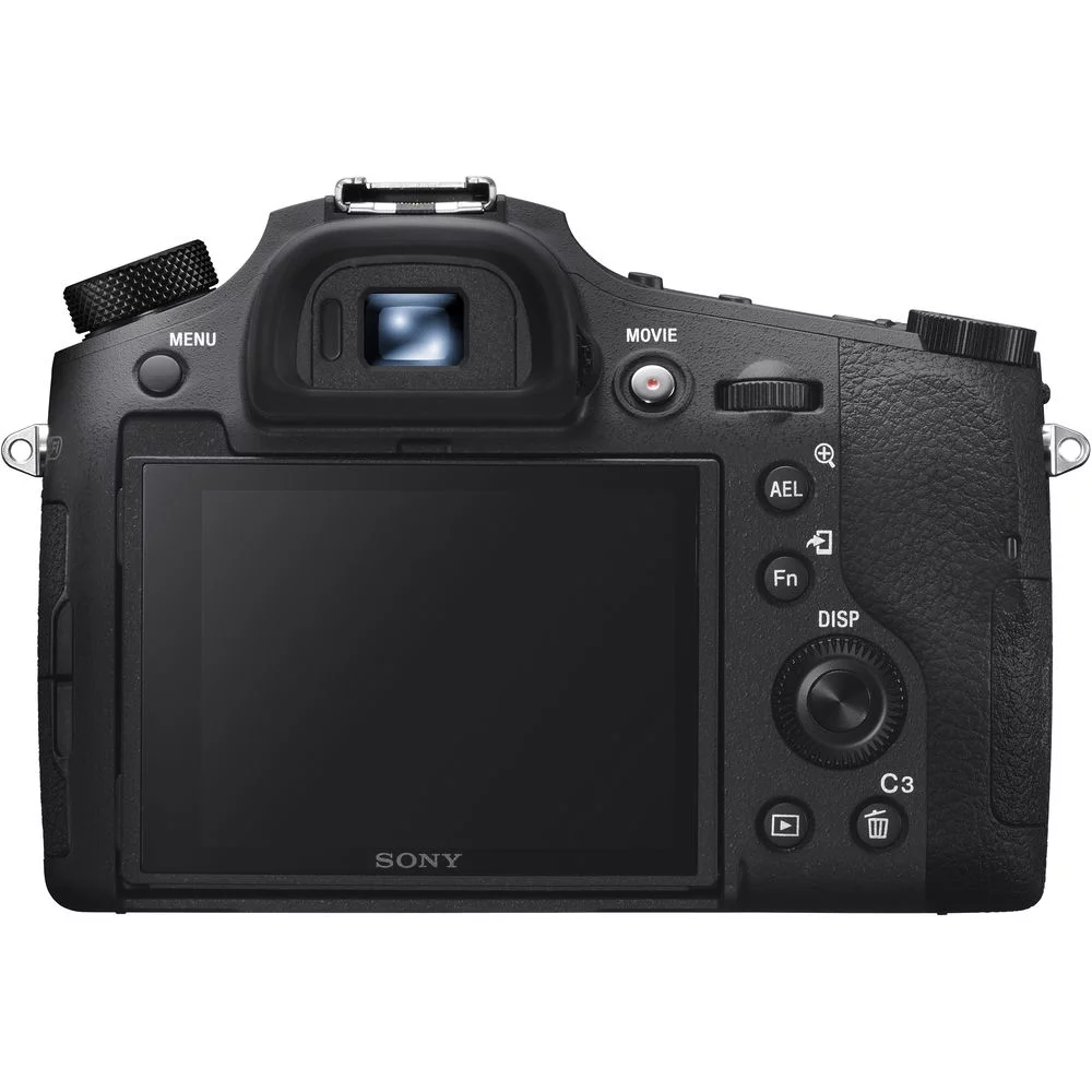 Sony Cyber-shot DSC-RX10 IV Digital Camera+ Extra Battery + LED - 32GB Kit