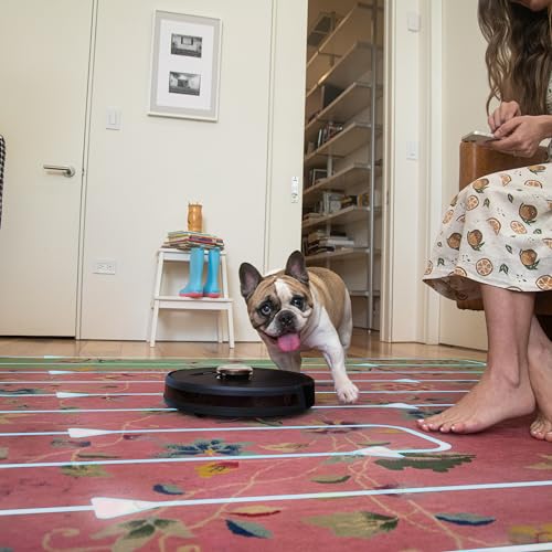 bObsweep PetHair SLAM Robot Vacuum Cleaner with Wet/Dry Mop, Advanced LiDAR Mapping with Editable Map/NoSweep Zones, Alexa/Google Compatible, Good for Pet Hair, Carpet, Hardwood and Tile