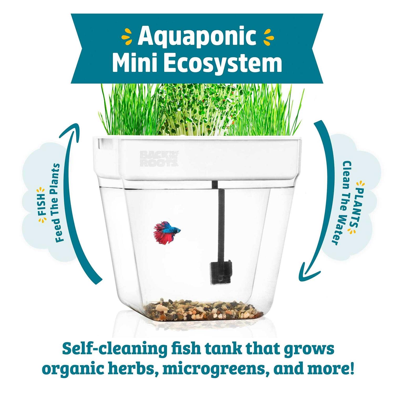 Back to the Roots Water Garden - Pet Supplies online store