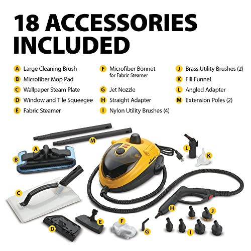 Wagner Spraytech C900054 905e AutoRight Multi-Purpose Steam Cleaner