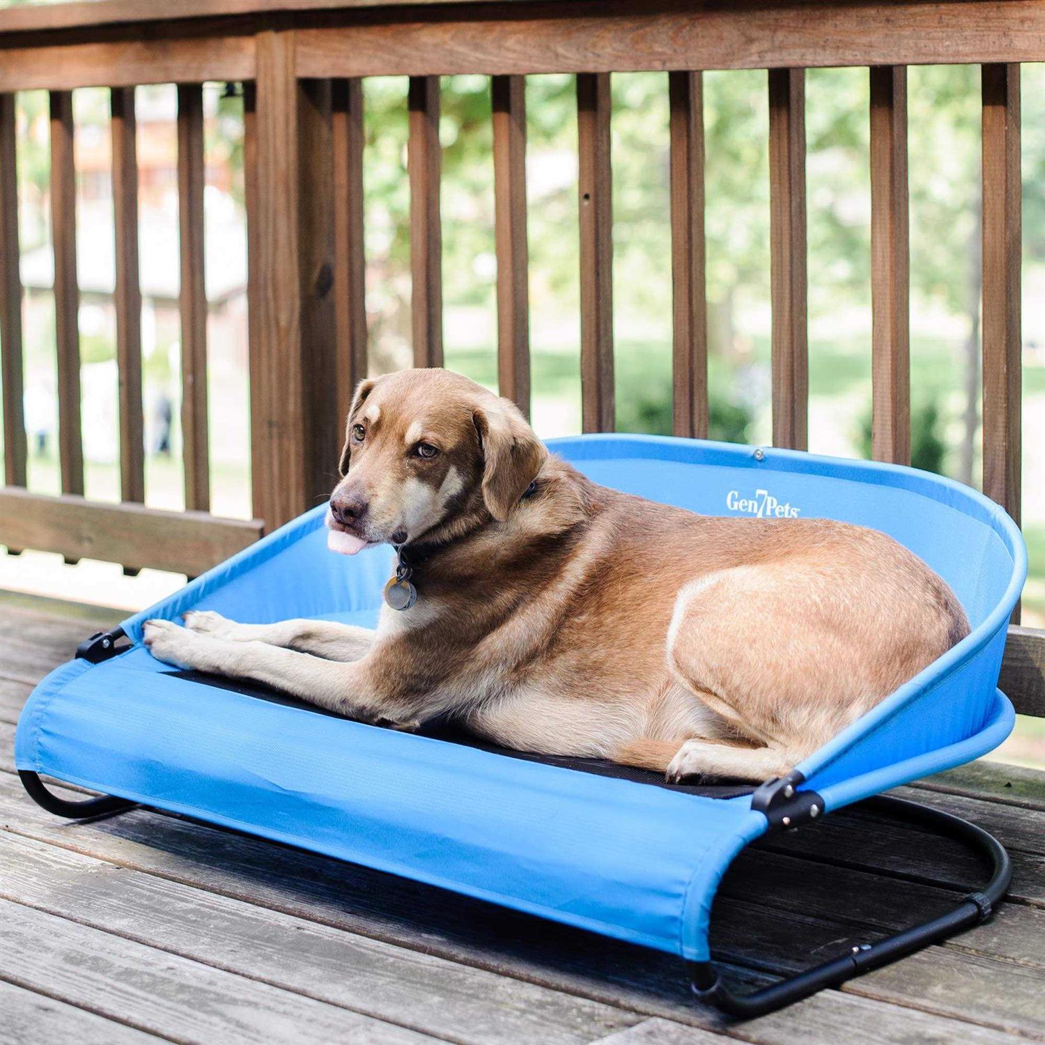 Gen7Pets Trailblazer Cool-Air Cot - Pet Supplies online store