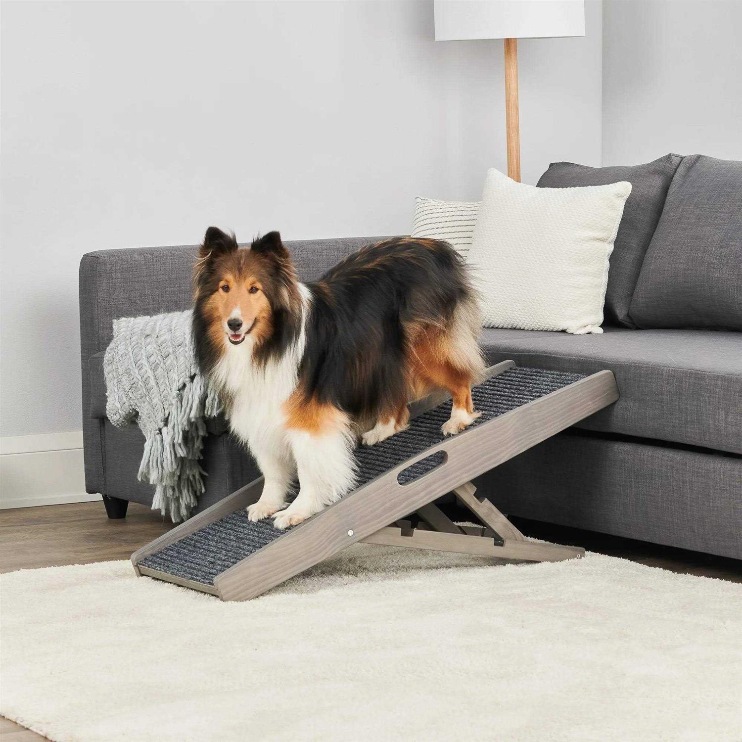 EveryYay Rise &amp; Climb 39.37 x 15.75 x 3.94 Indoor Pet Ramp - Pet Supplies online store