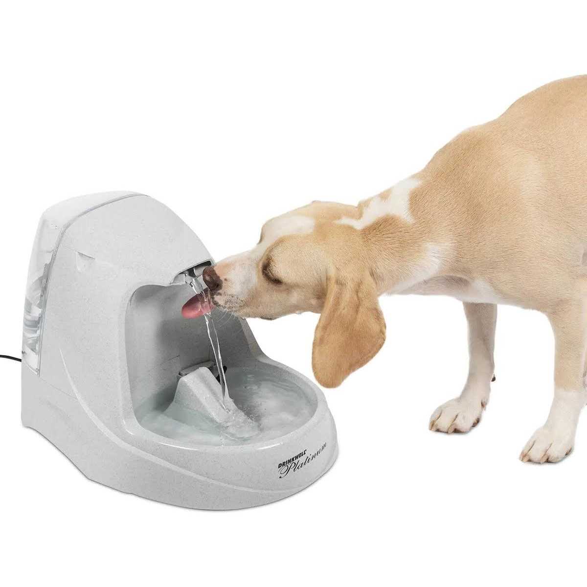 Drinkwell Platinum Pet Fountain - Pet Supplies online store