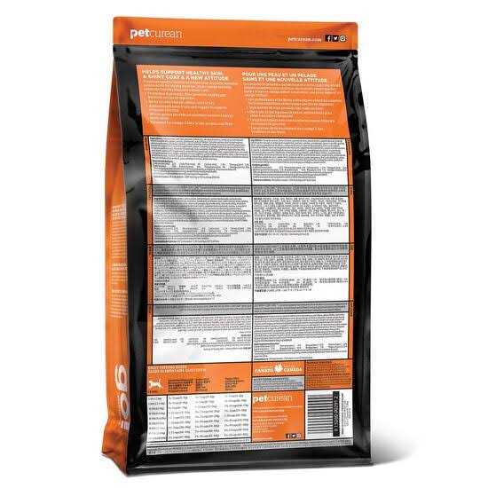Go! Solutions Skin + Coat Care Salmon Recipe Dry Dog Food - Pet Supplies online store
