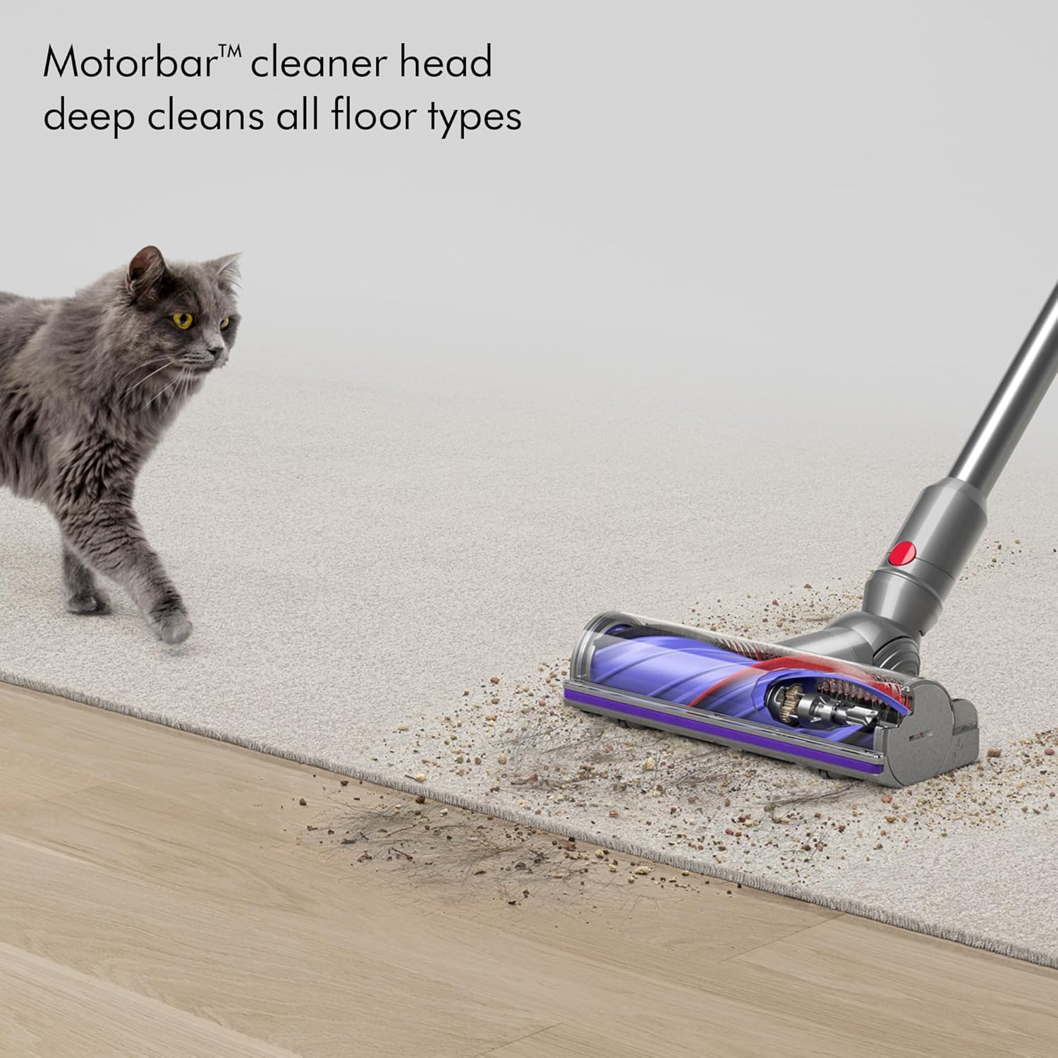 Dyson V12 Detect Slim Cordless Vacuum Cleaner,Yellow/Iron (Renewed), Large