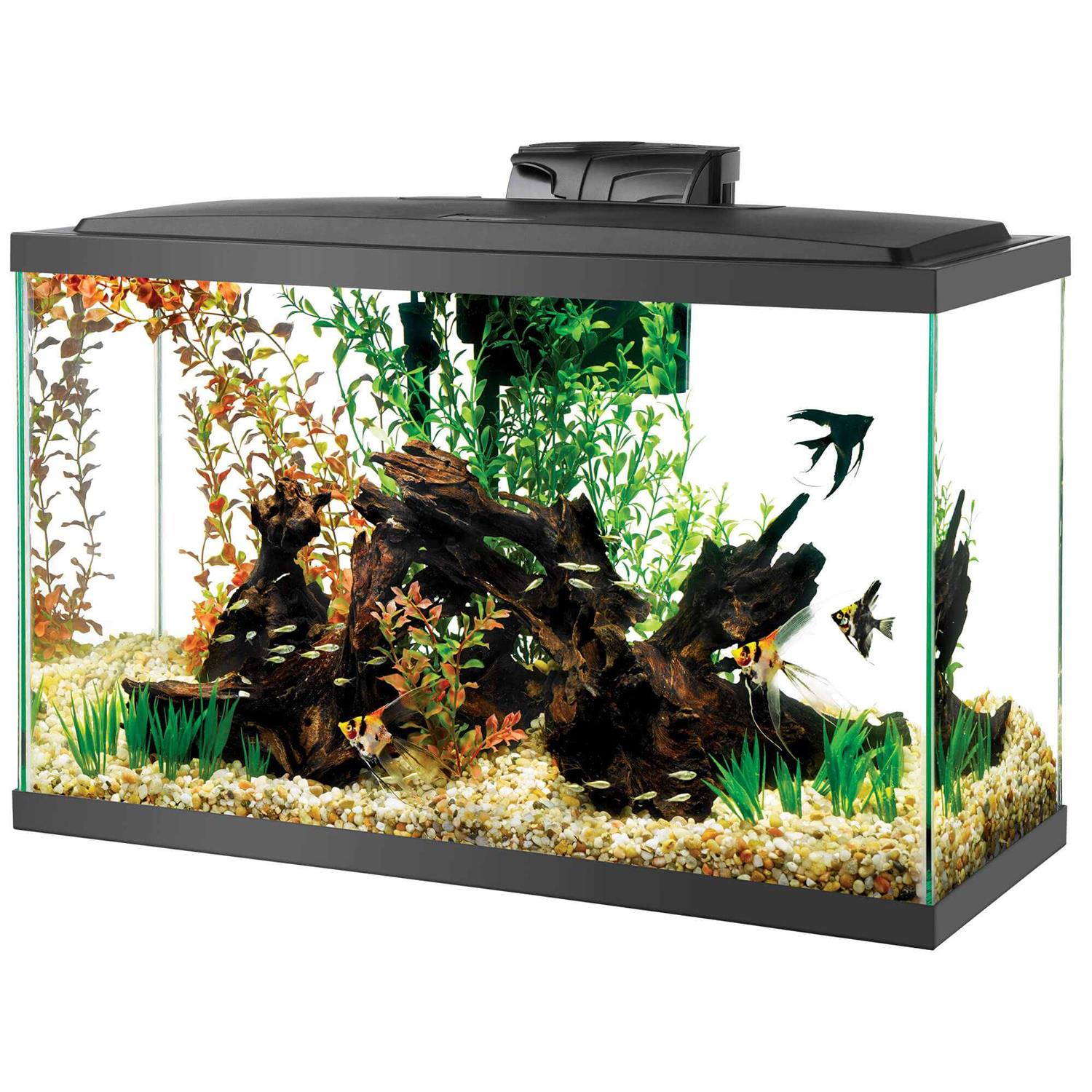 Aqueon Aquarium Kit LED - Pet Supplies online store
